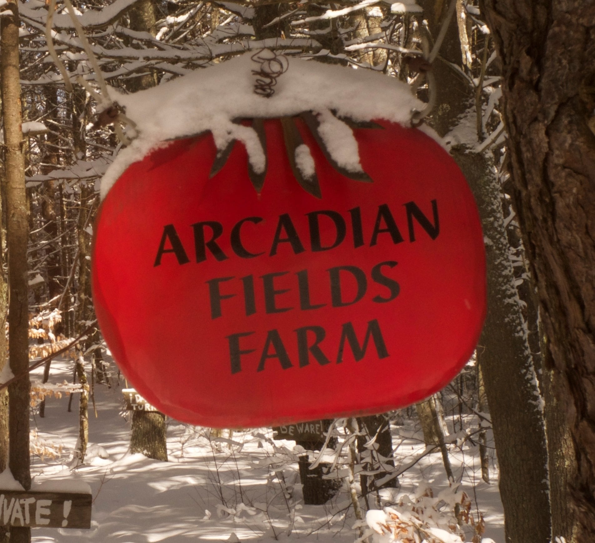 Farm photography at Arcadian Fields Organic Farm, Hope Valley, Rhode Island.