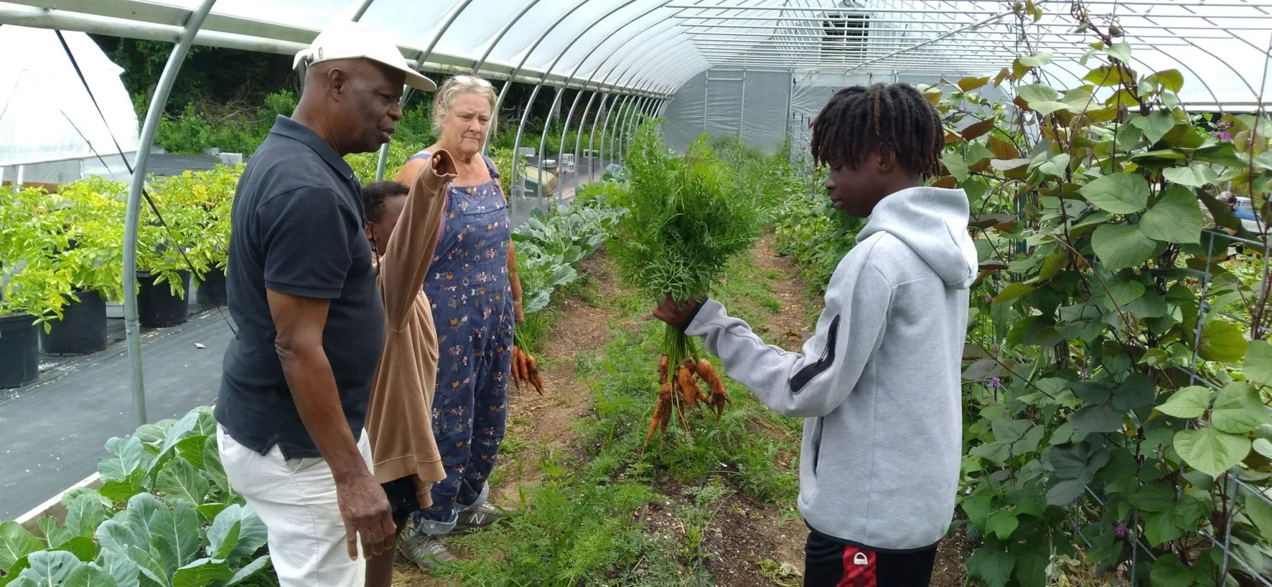 Farm photography at Bami Farm, Johnston, Rhode Island.