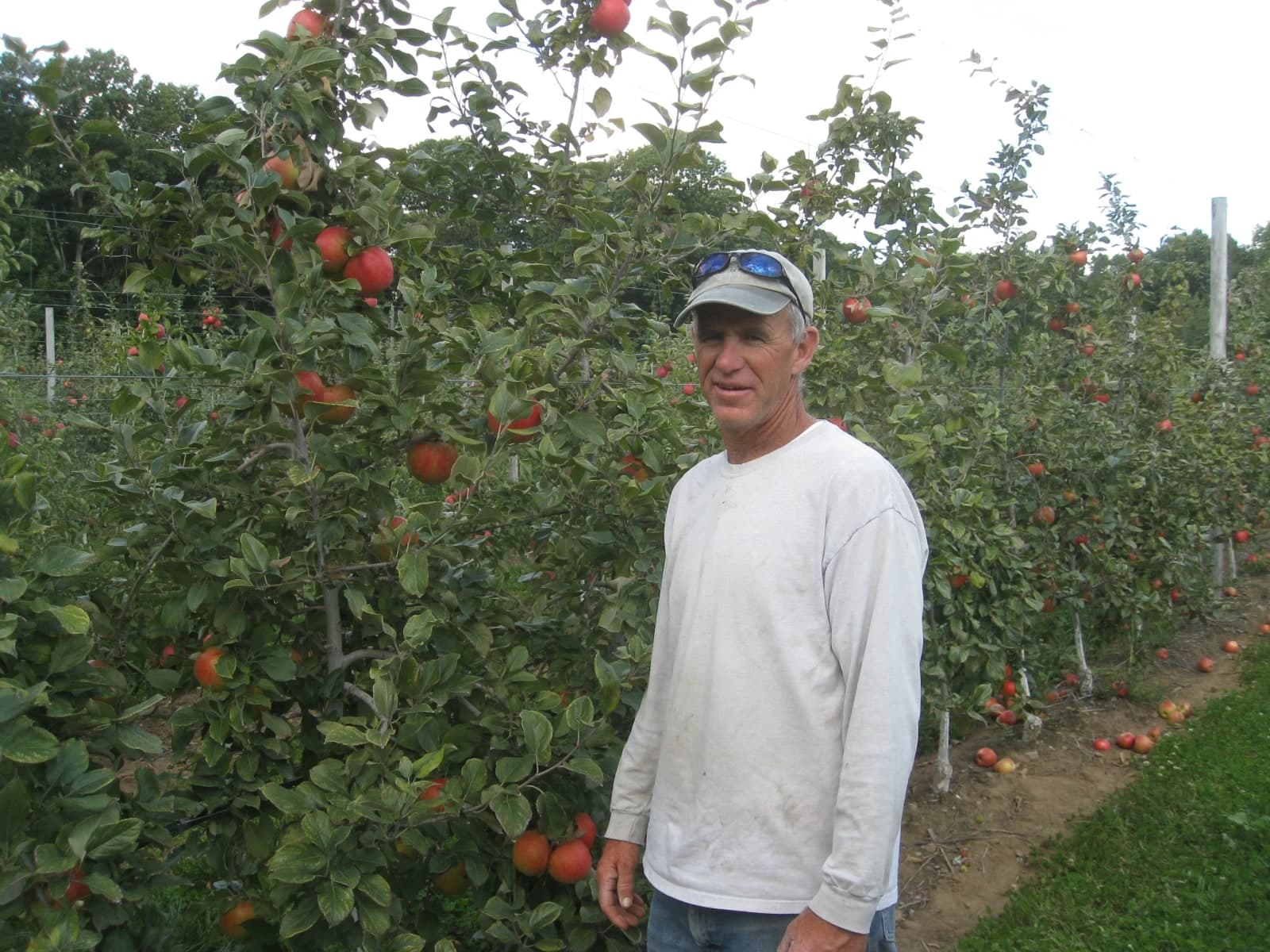 Farm photography at Barden Family Orchard, North Scituate, Rhode Island.