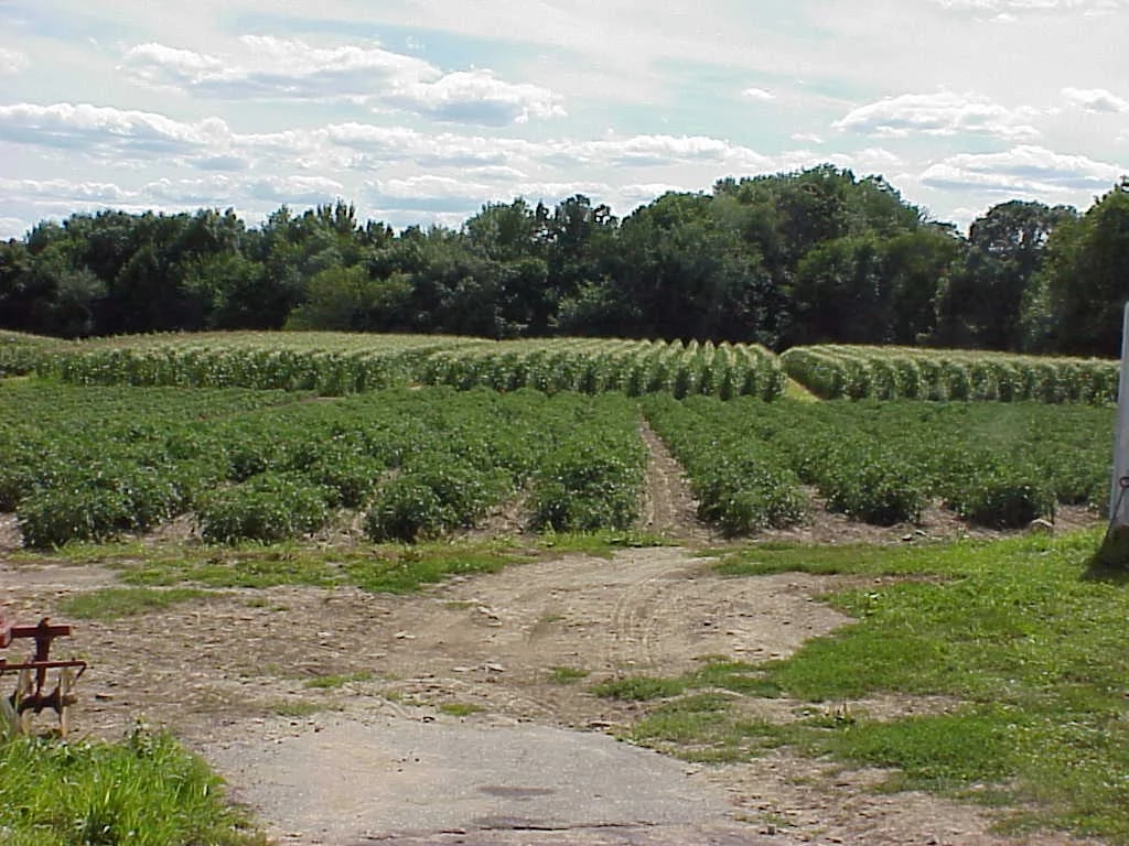 Farm photography at Bella Farms, Coventry, Rhode Island.