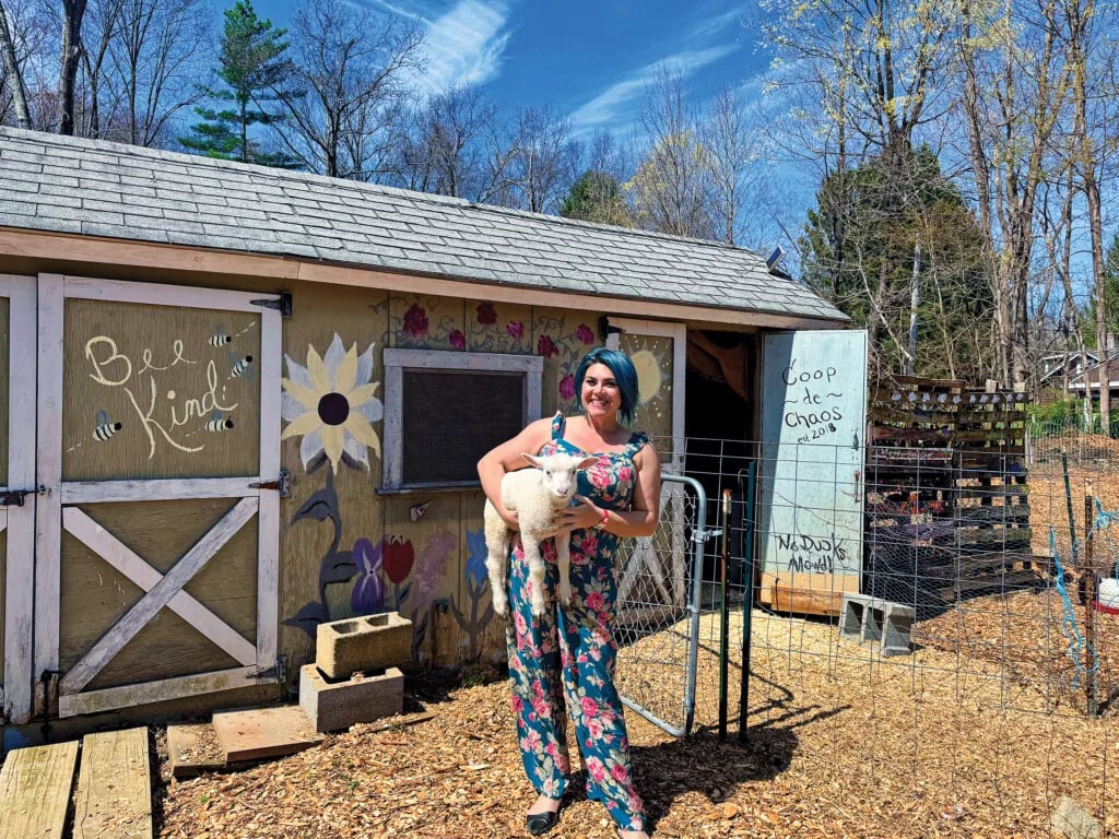 Farm photography at Chaos Farm Alpaca, Lincoln, Rhode Island.