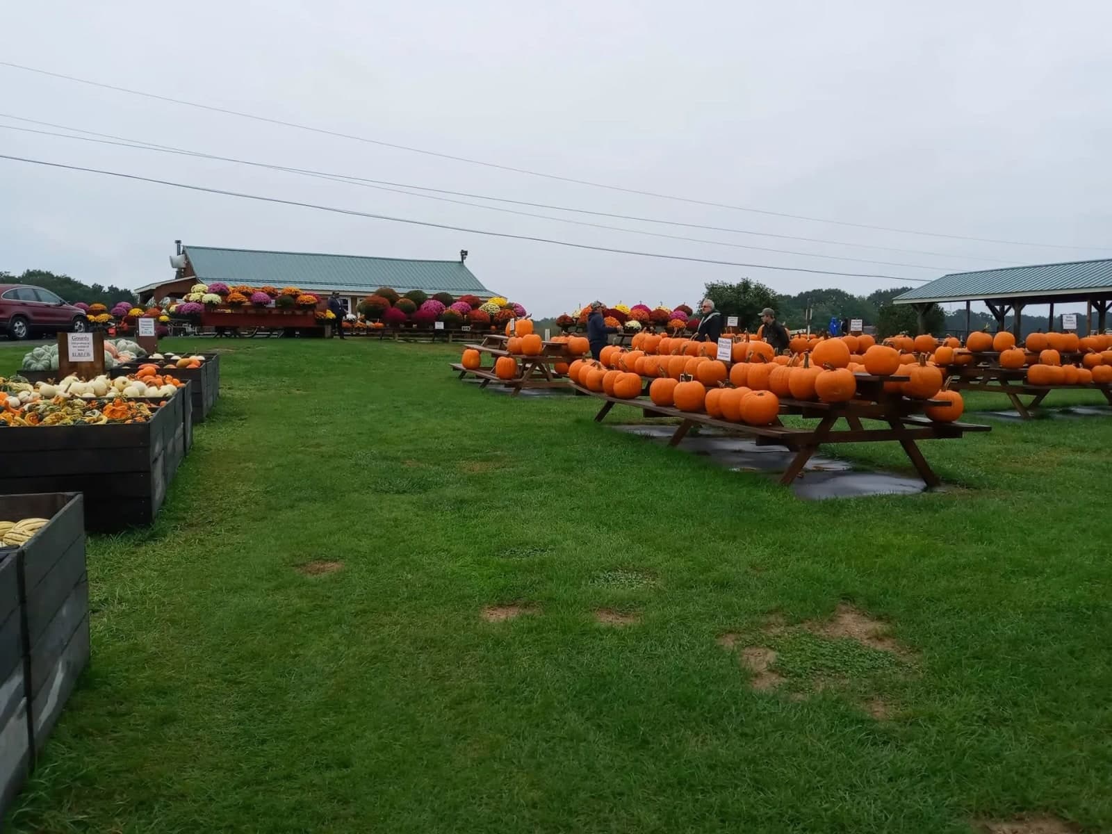Farm photography at Dame Farm & Orchards, Johnston, Rhode Island.