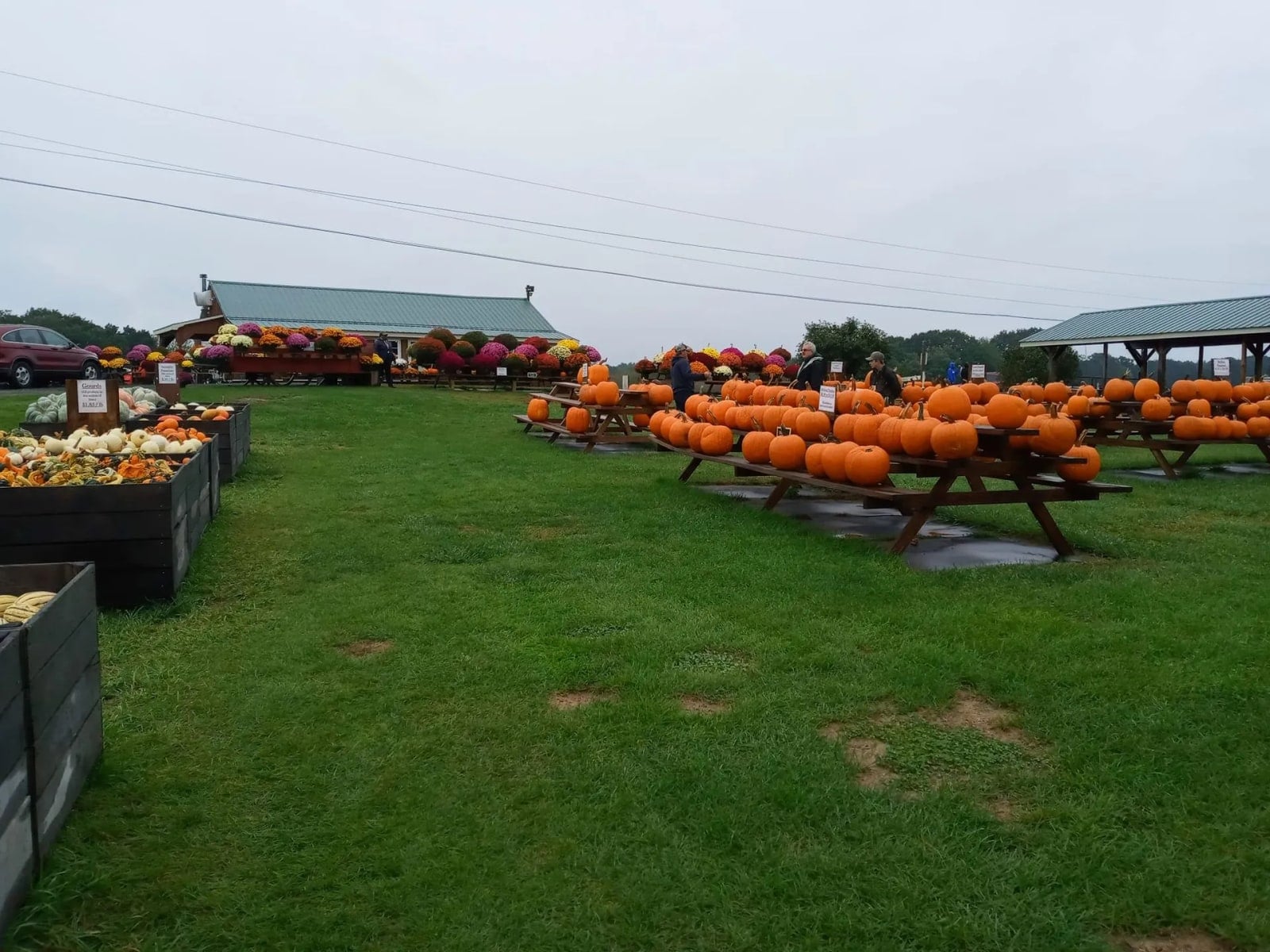 Farm photography at Dame Farm & Orchards, Johnston, Rhode Island.