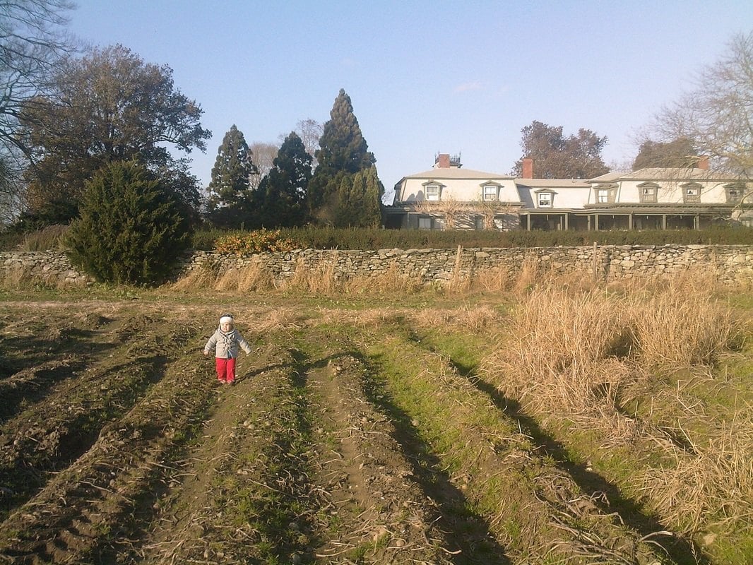 Farm photography at Ferolbink Farms, Tiverton, Rhode Island.