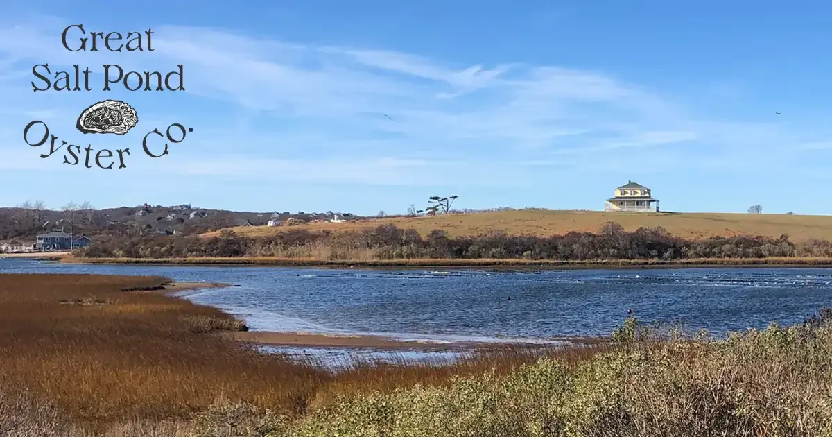 Great Salt Pond Oyster Co. in New Shoreham, Rhode Island