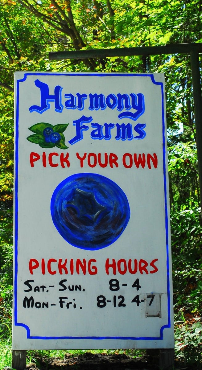 Farm photography at Harmony Farms, North Scituate, Rhode Island.