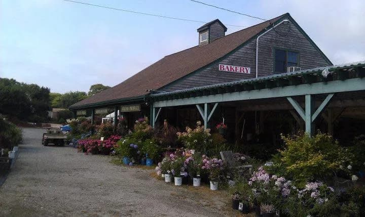 Farm photography at Highland Farm, South Kingstown, Rhode Island.
