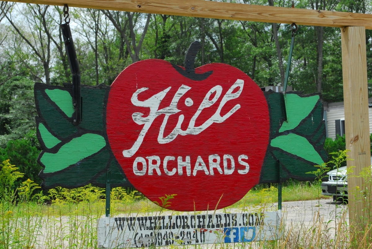 Farm photography at Hill Orchards, Johnston, Rhode Island.
