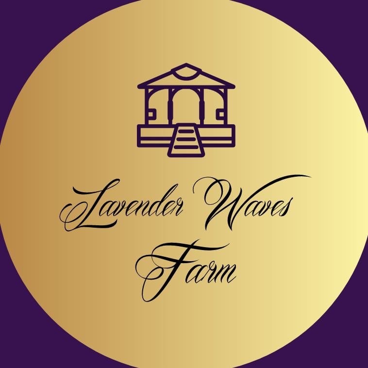 Farm photography at Lavender Waves Farm, South Kingstown, Rhode Island.