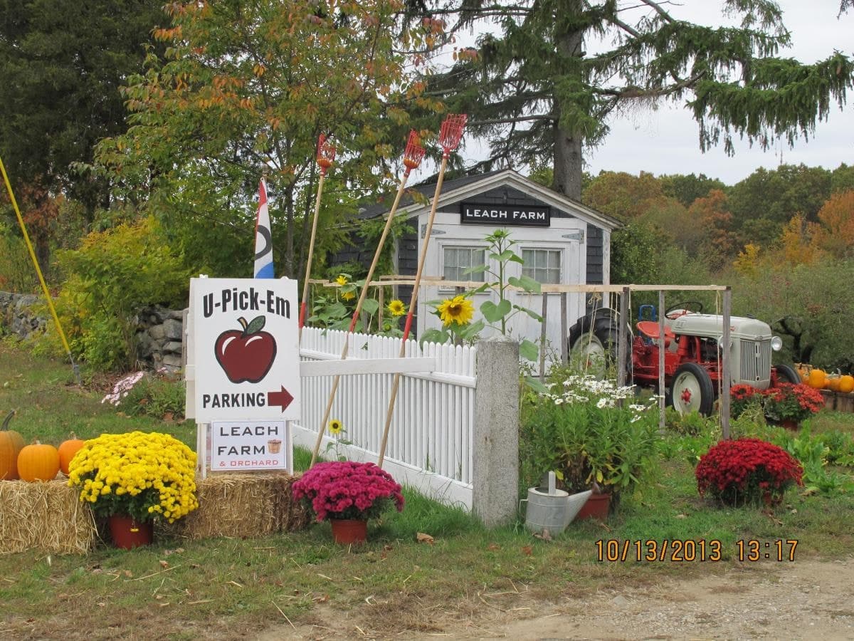 Farm photography at Leach Farm and Orchard, Greenville, Rhode Island.