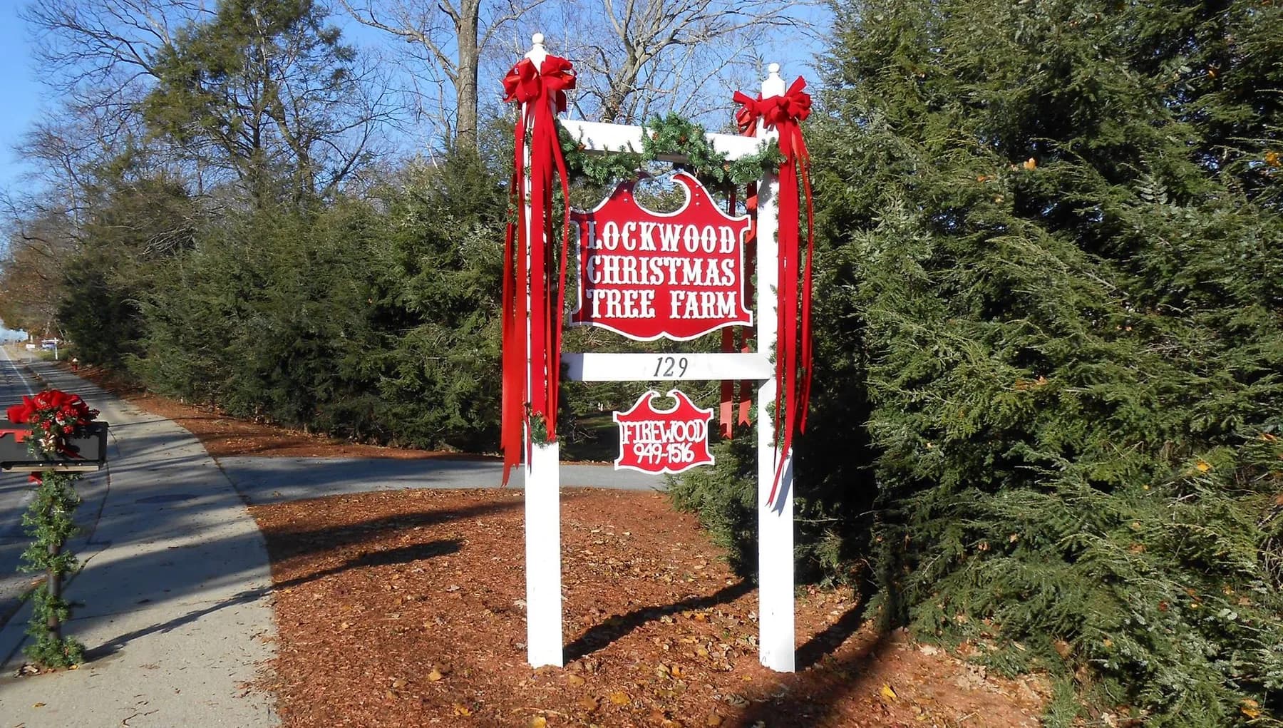 Farm photography at Lockwood Christmas Tree Farm, Greenville, Rhode Island.