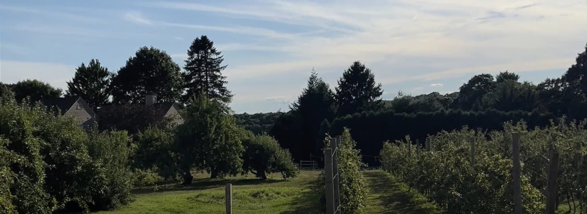 Farm photography at Phantom Farms, Cumberland, Rhode Island.