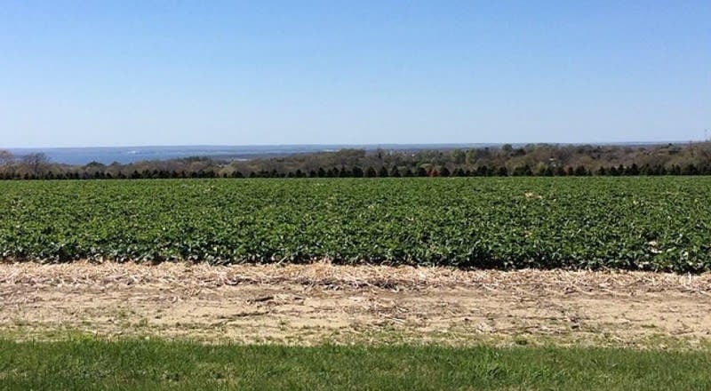 Farm photography at Quonset View Farm, Portsmouth, Rhode Island.