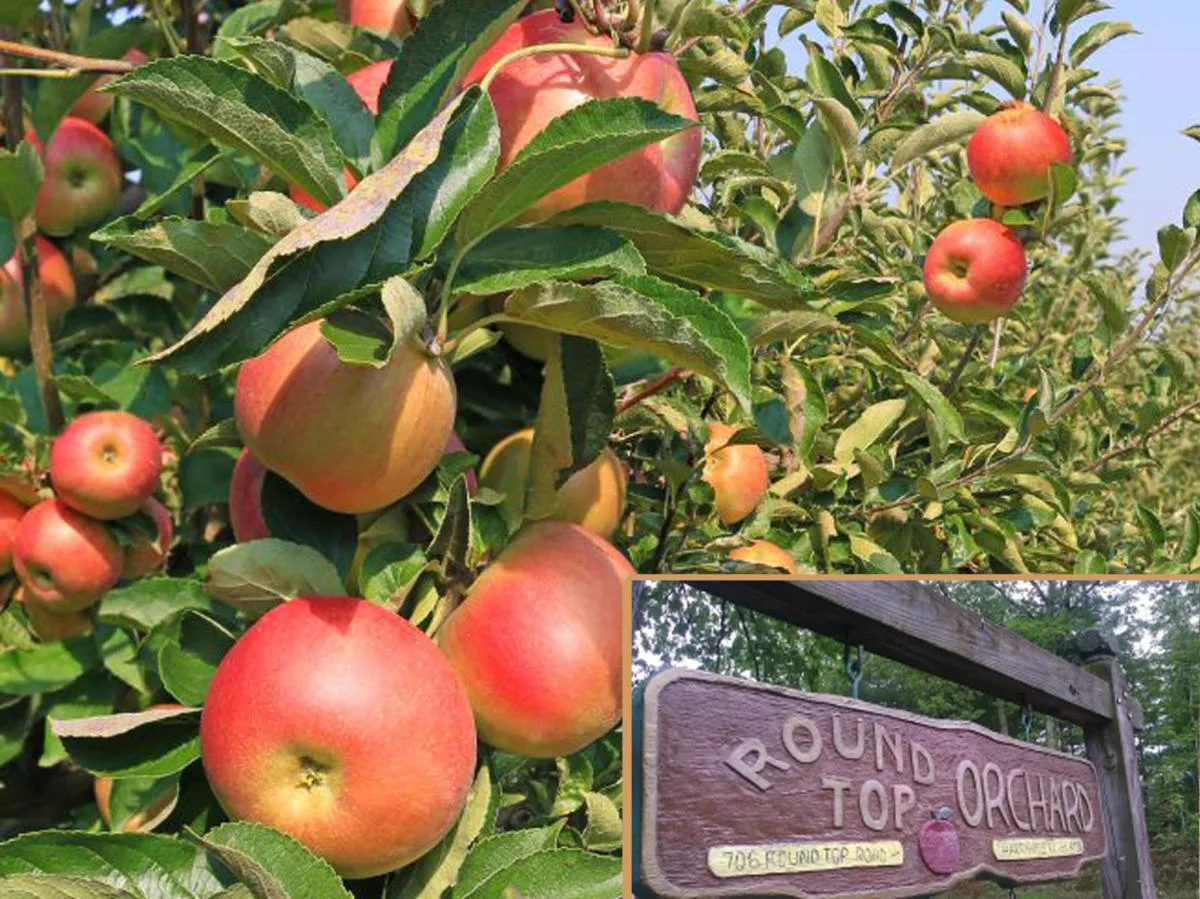 Round Top Orchard apple orchard in Harrisville, Rhode Island