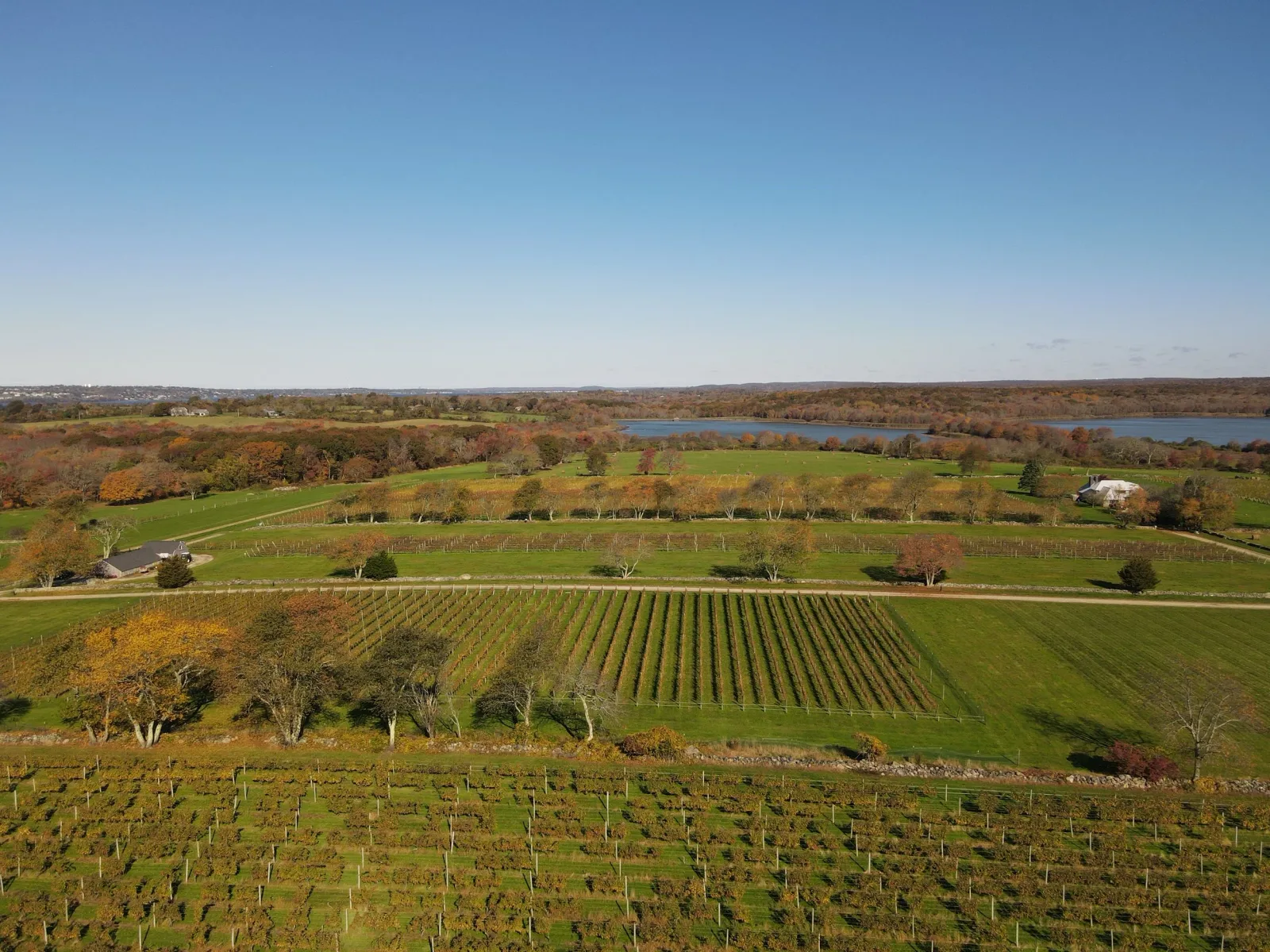 Sakonnet Vineyard in Little Compton, Rhode Island