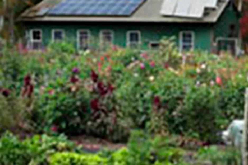 Farm photography at Shannock Organic Farm, Charlestown, Rhode Island.