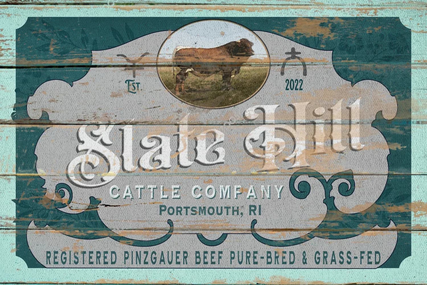 Farm photography at Slate Hill Cattle Company, Portsmouth, Rhode Island.