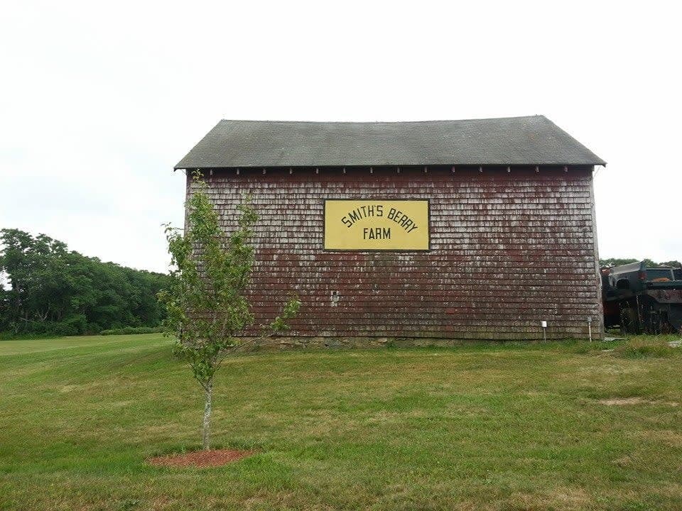 Farm photography at Smith's Berry Farm, North Kingstown, Rhode Island.