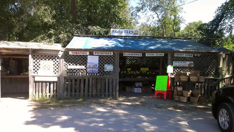Farm photography at The Stand at Whaley Farm, South Kingstown, Rhode Island.
