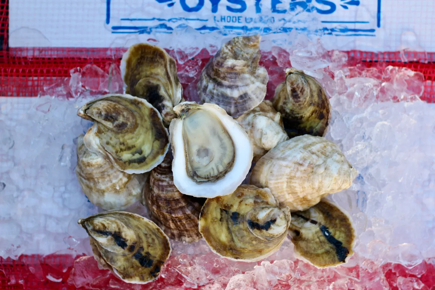 Thomas Point Oyster Co. in Narragansett, Rhode Island