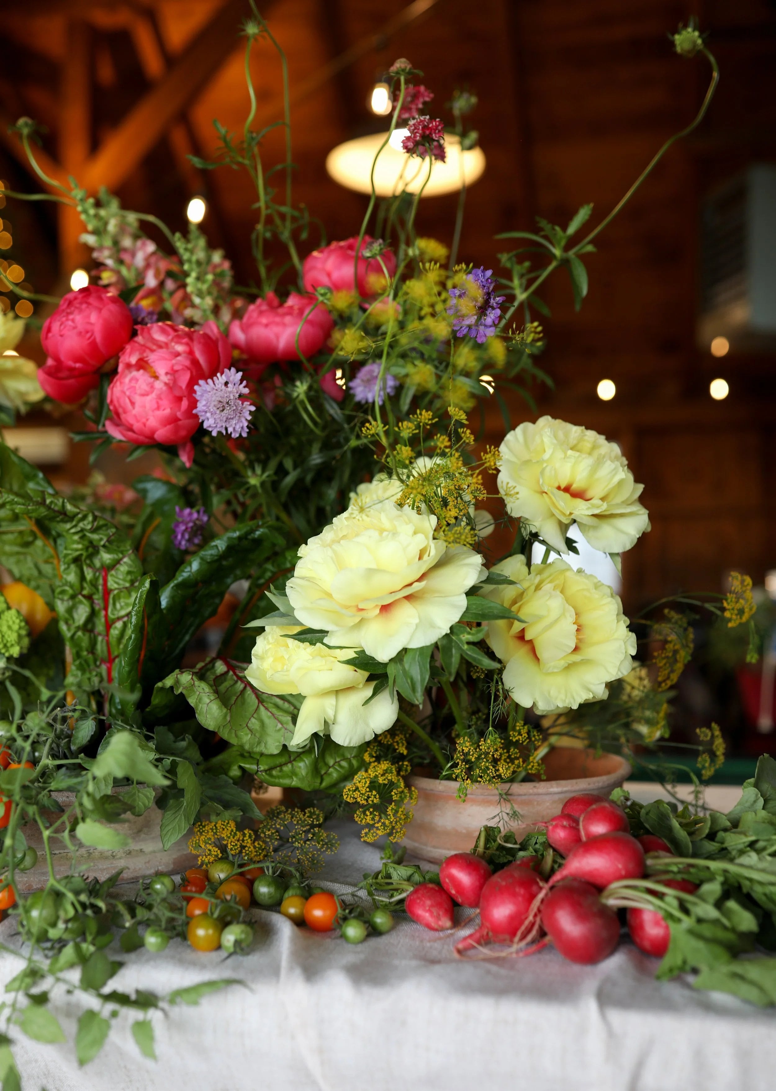 Farm photography at Wild Season Florals, Middletown, Rhode Island.