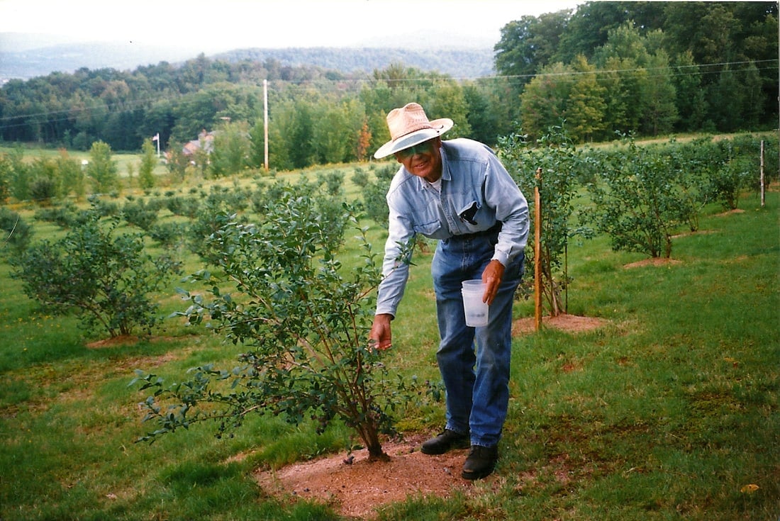 Farm photography at Browns Blueberries, Craftsbury, Vermont.