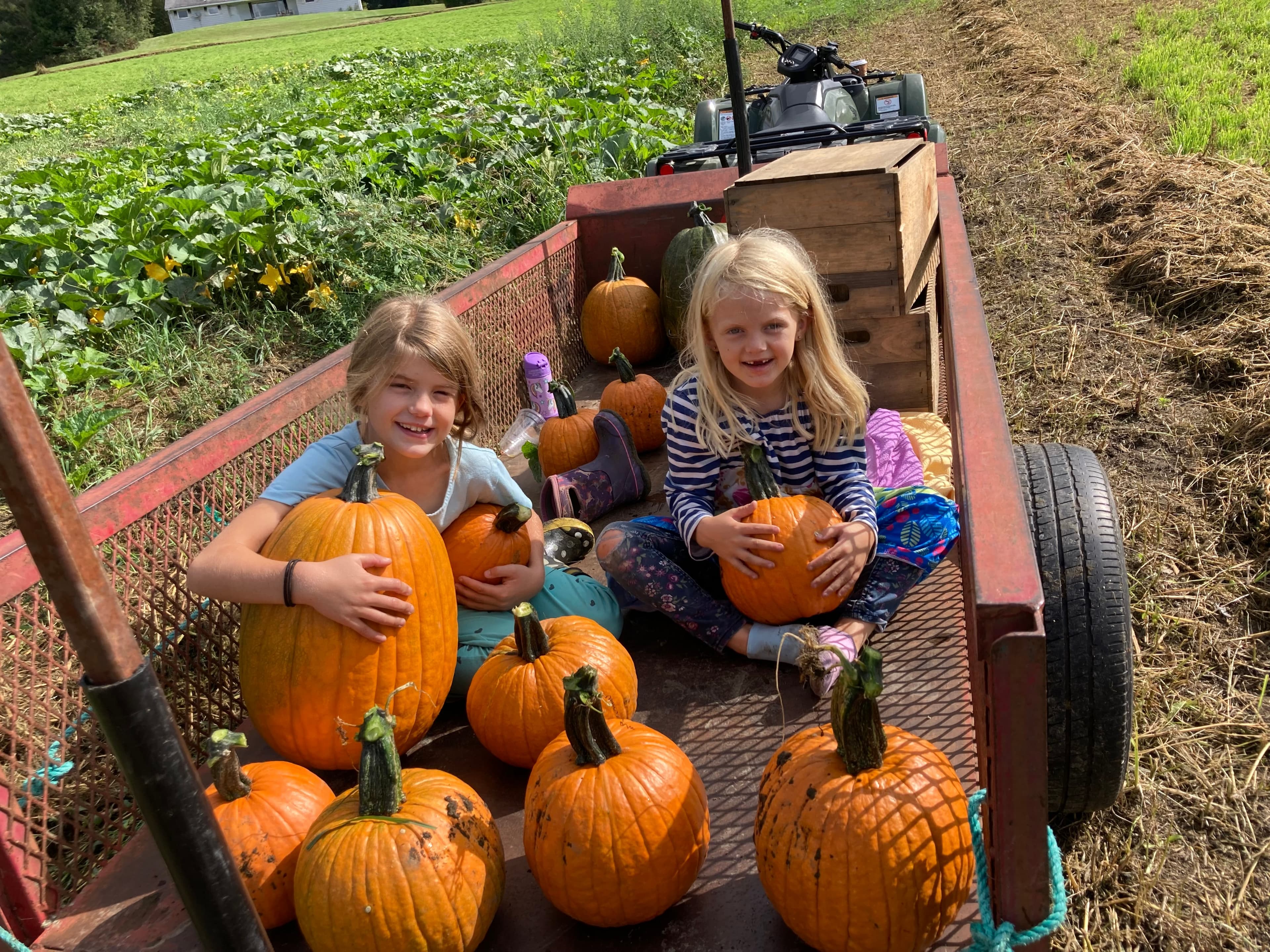 Farm photography at Burtt's Apple Orchard, Cabot, Vermont.