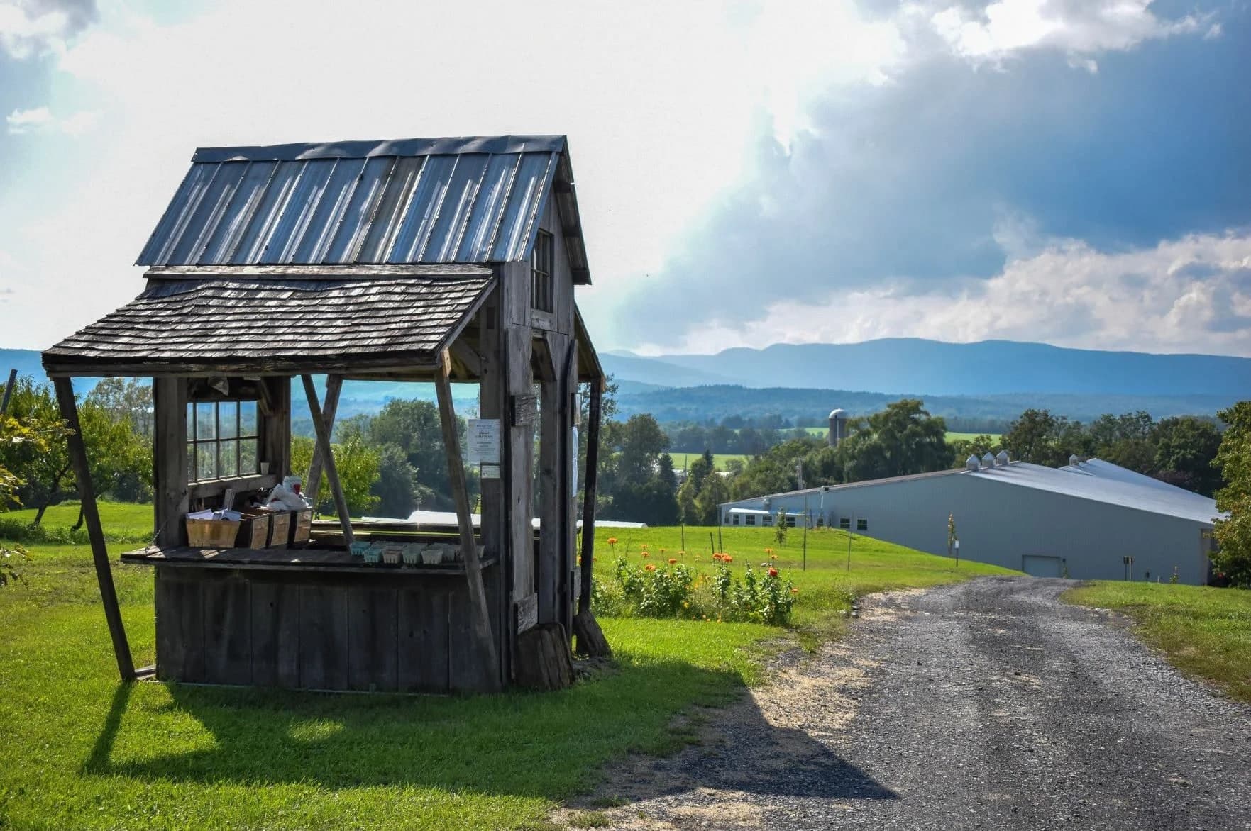 Farm photography at Champlain Orchards / Douglas Orchards, Shoreham, Vermont.