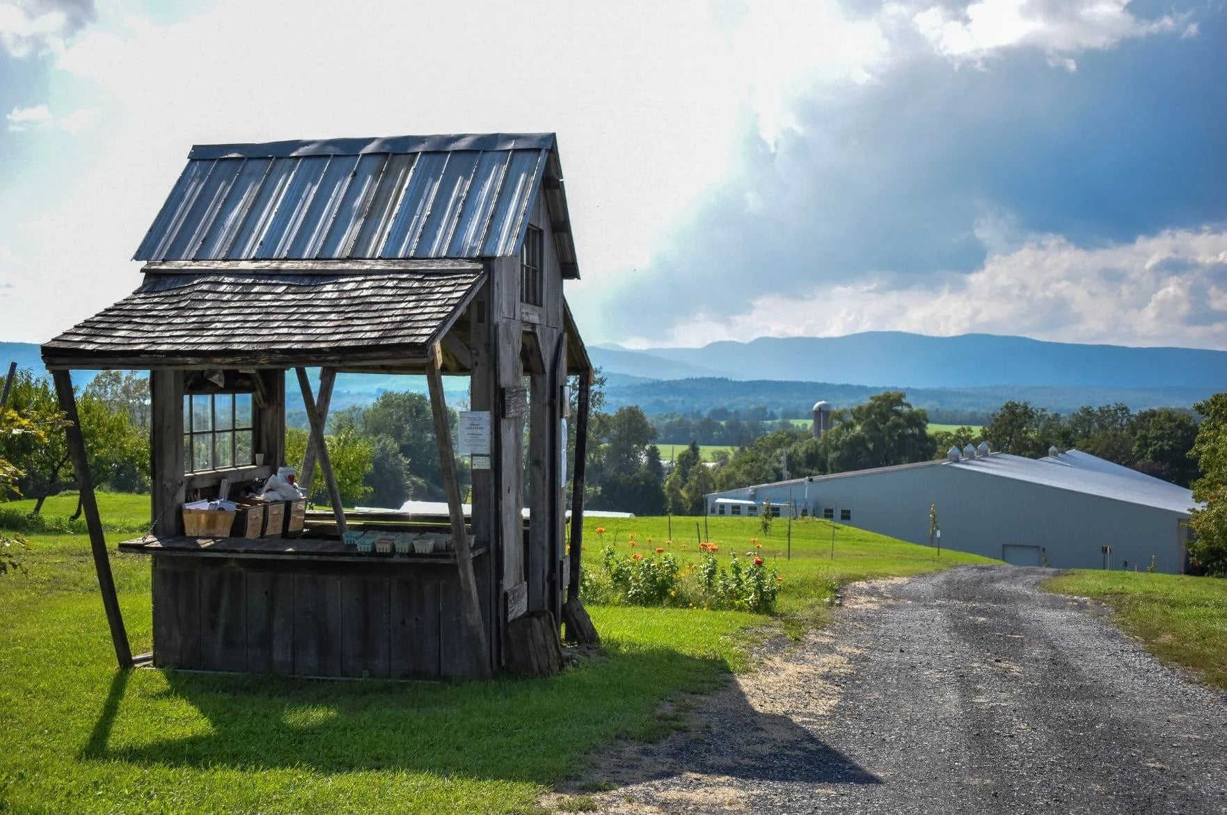 Farm photography at Champlain Orchards / Douglas Orchards, Shoreham, Vermont.