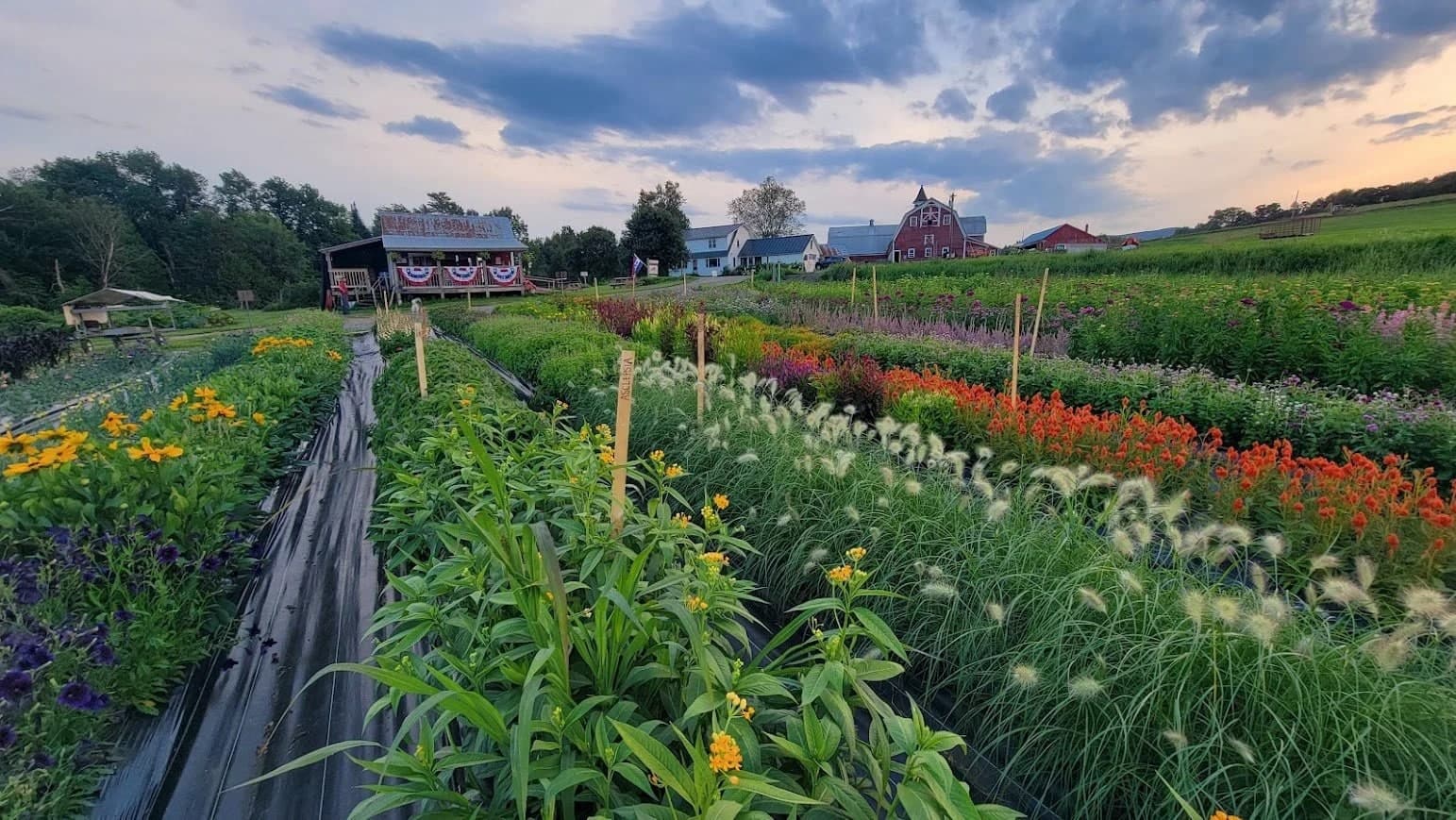 Farm photography at Chandler Pond Farm, Wheelock, Vermont.