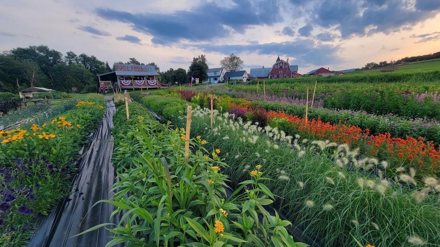 Farm photography at Chandler Pond Farm, Wheelock, Vermont.