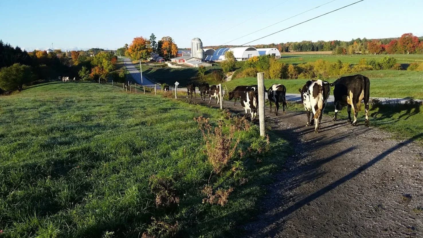 Farm photography at Choiniere Family Farm, Highgate Center, Vermont.