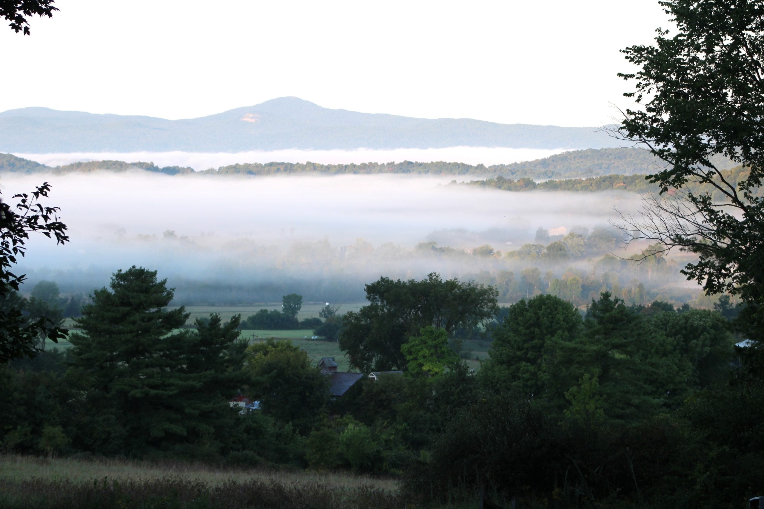 Farm photography at Cobble Knoll Orchard, Benson, Vermont.