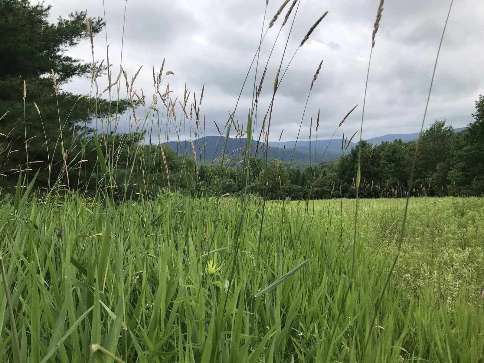 Farm photography at Couching Lion Maple Sugar Farm, Huntington, Vermont.