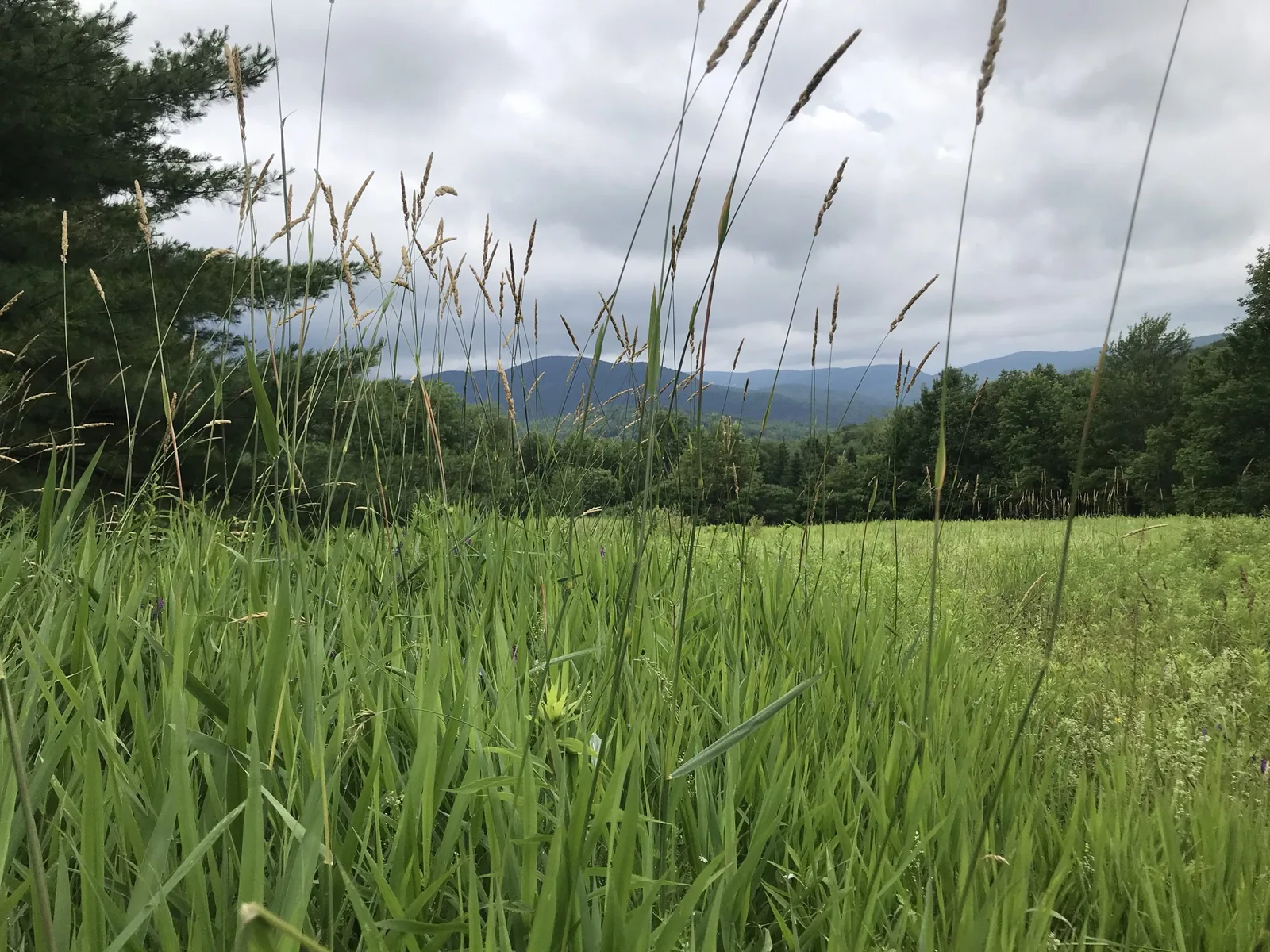 Farm photography at Couching Lion Maple Sugar Farm, Huntington, Vermont.