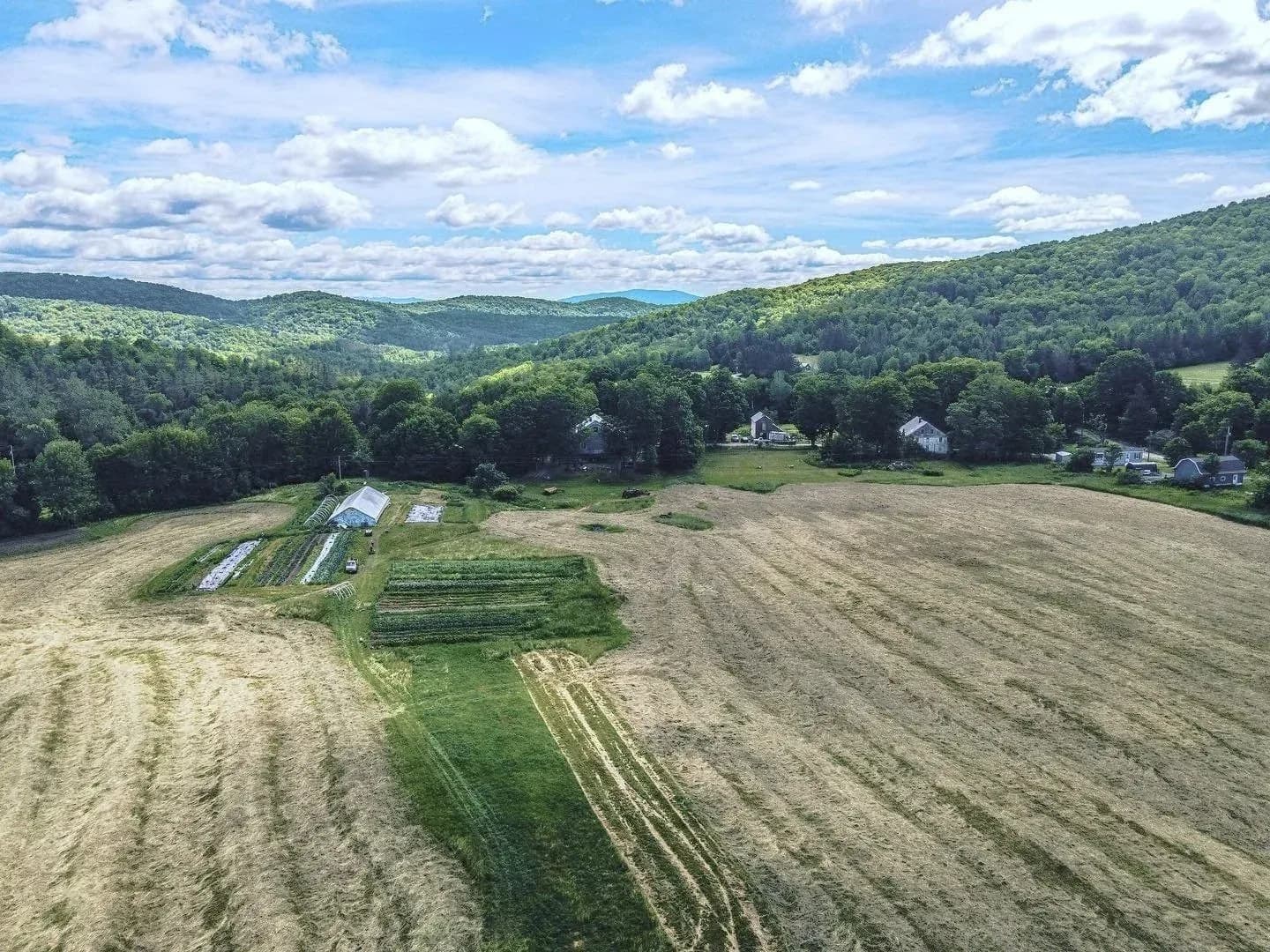Farm photography at Crossmolina Farm, Corinth, Vermont.