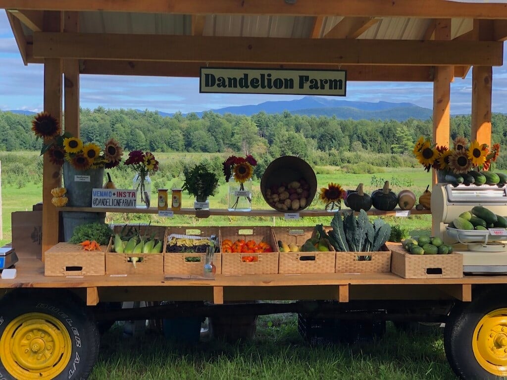Farm photography at Dandelion Farm, Westford, Vermont.