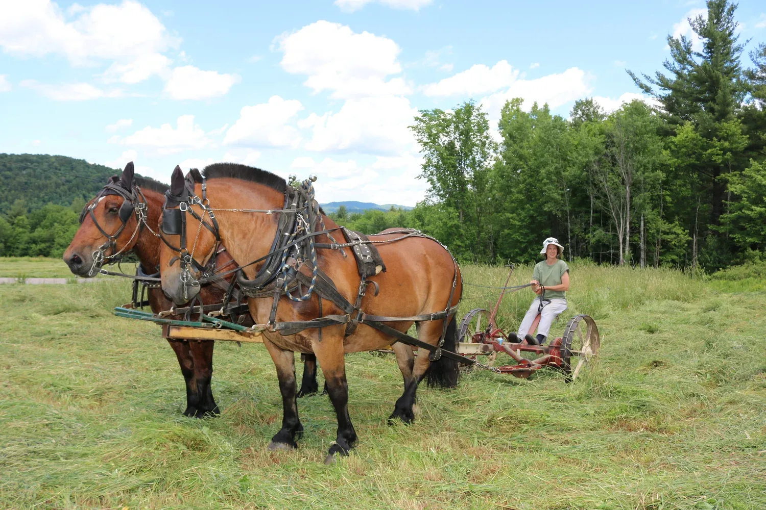 Farm photography at Does' Leap, Bakersfield, Vermont.