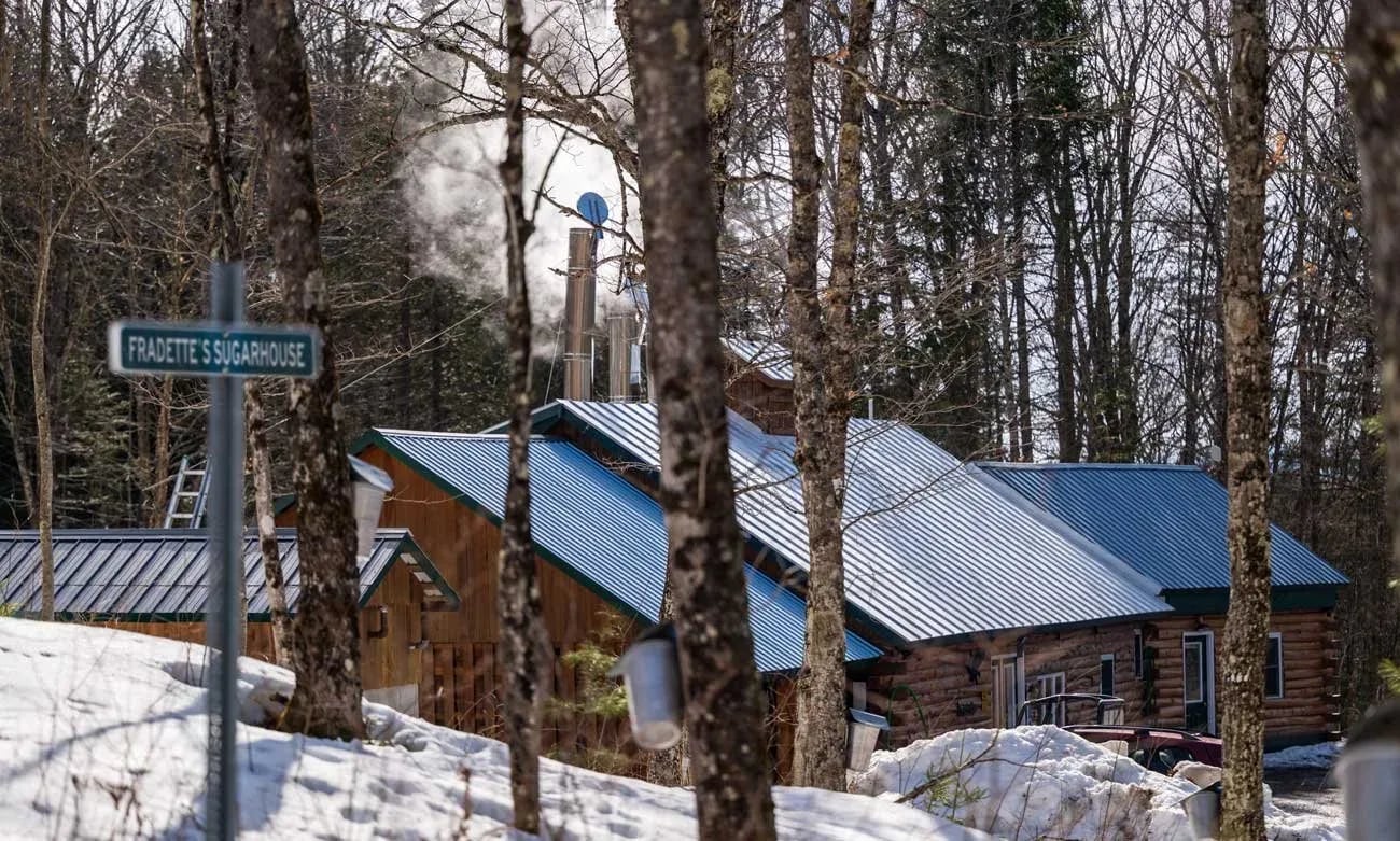 Farm photography at Fradettes Maple Syrup, East Hardwick, Vermont.