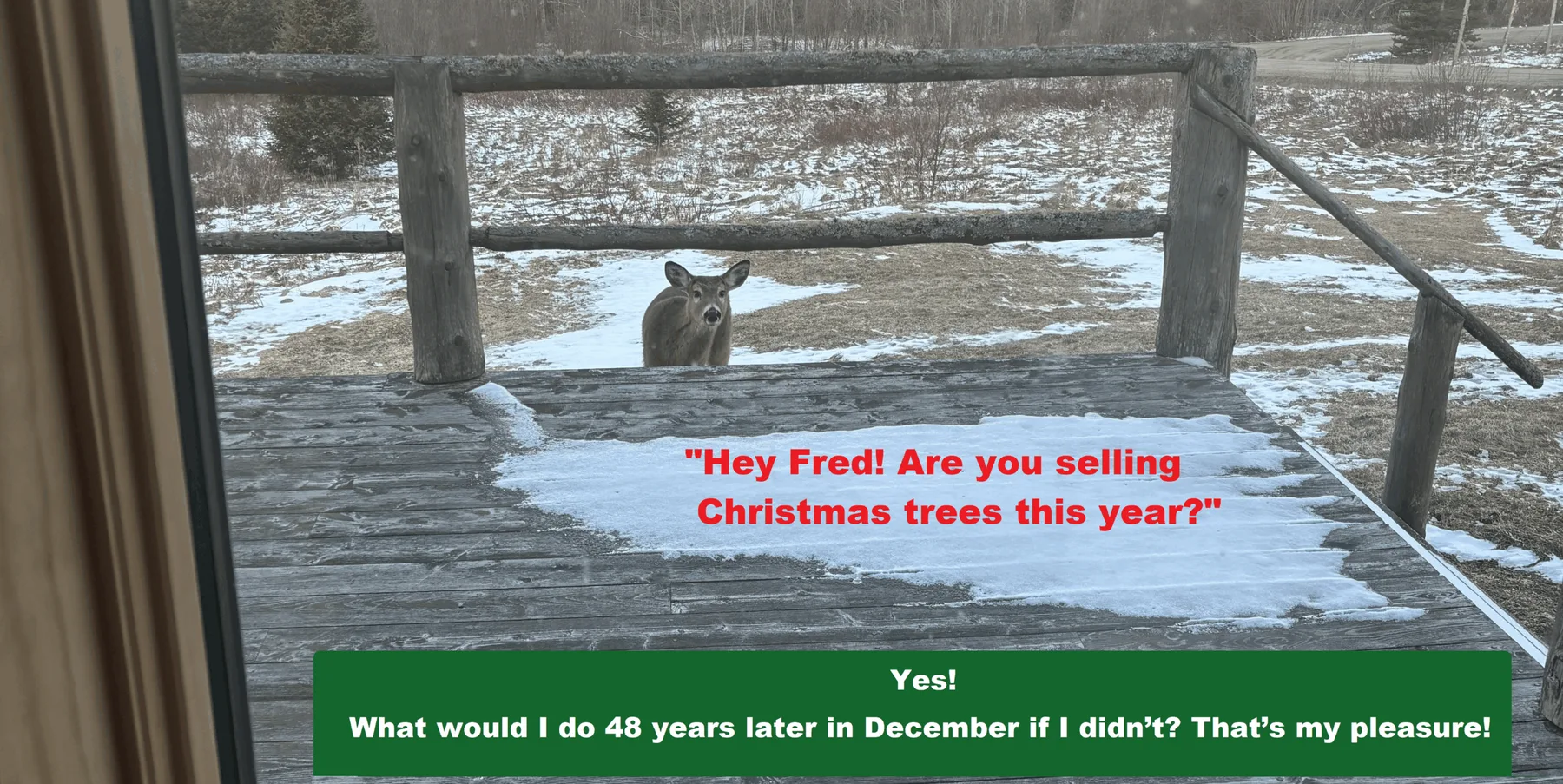 Farm photography at Fred’s Trees, Stannard, Vermont.