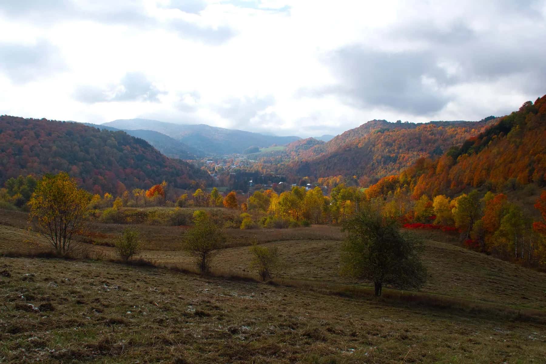 Farm photography at Free Verse Farm & Apothecary, Chelsea, Vermont.
