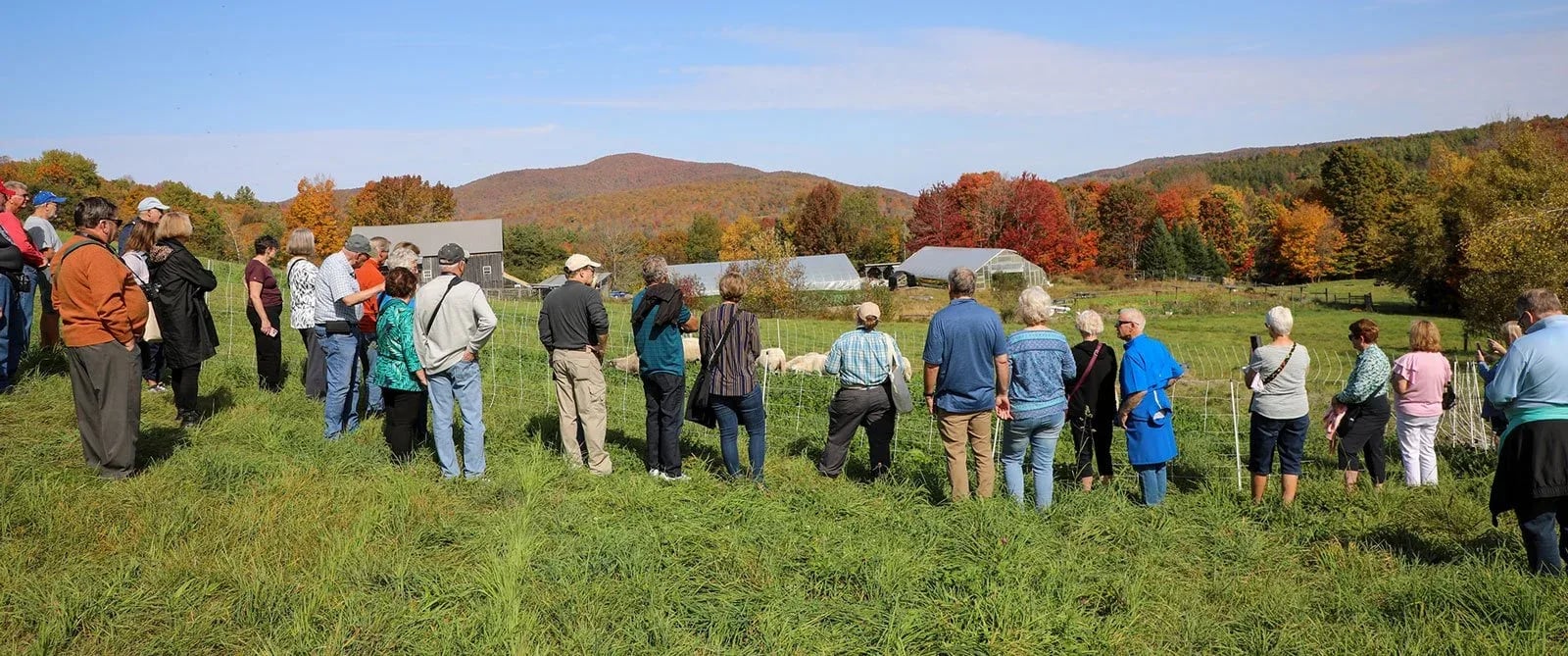 Farm photography at Green Mountain Girls Farm, Northfield, Vermont.