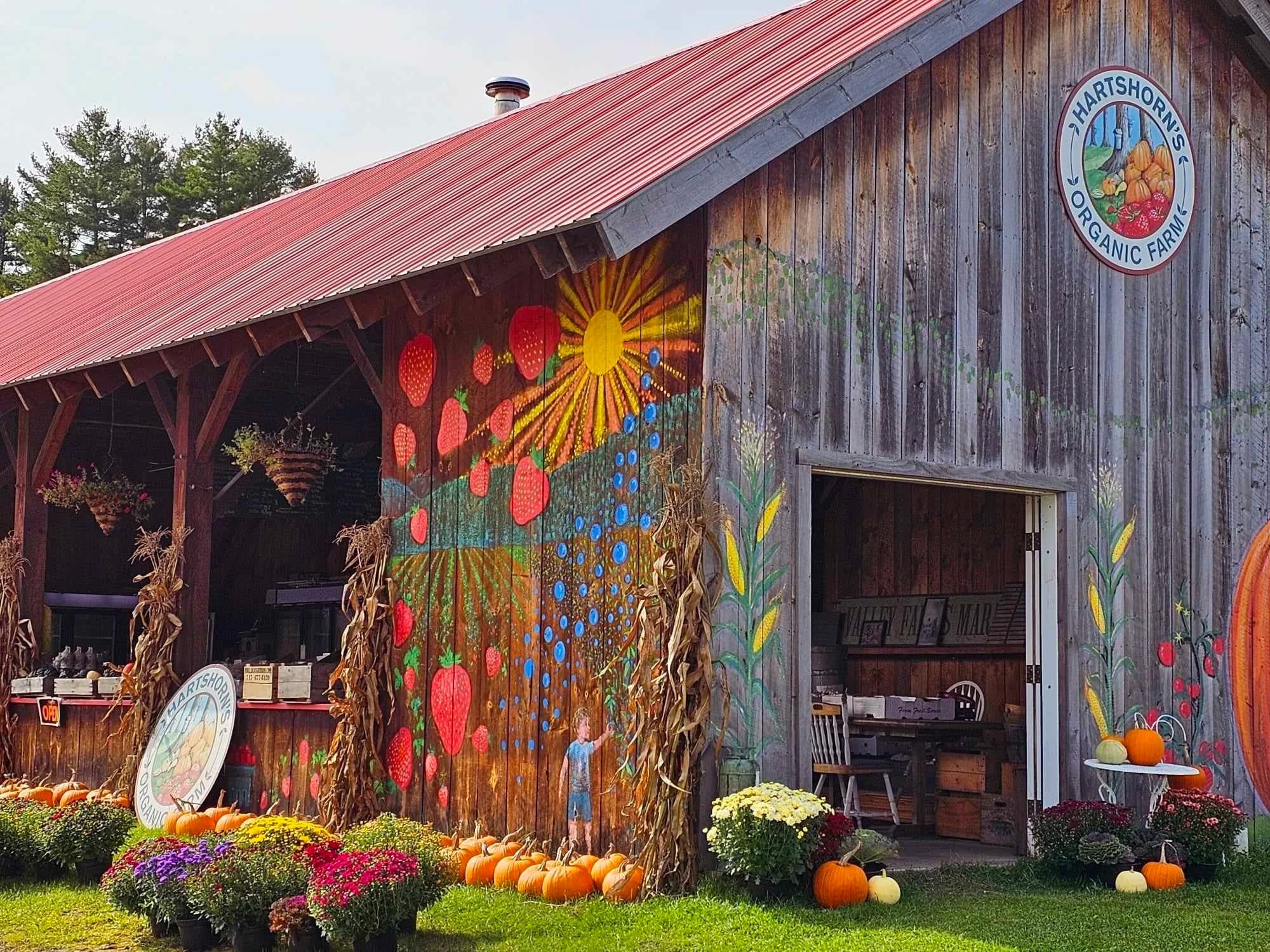 Hartshorn's Organic Farm Stand and Maple Sugar House: organic farm stand and maple sugar house waitsfield vt gallery item 1 farm visit
