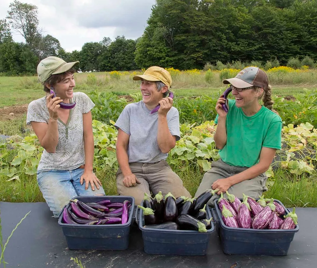 Farm photography at High Mowing Organic Seeds, Wolcott, Vermont.
