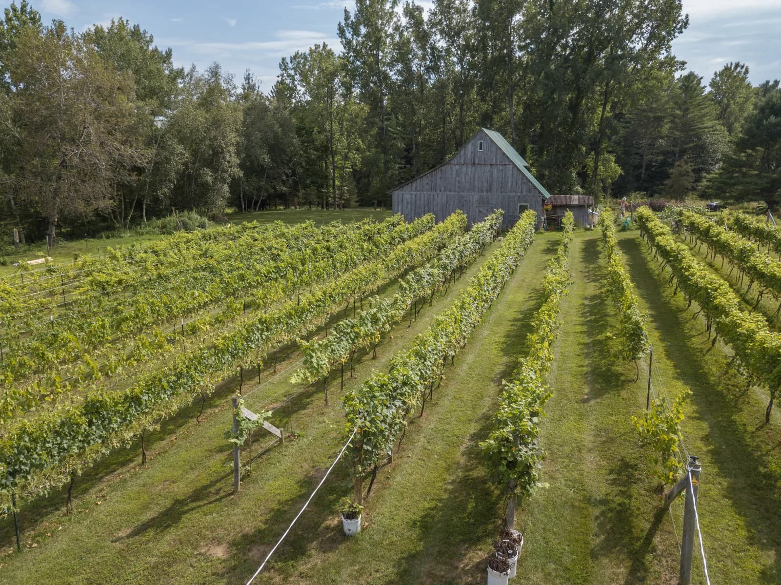 Farm photography at Hillis' Sugarbush Farm & Vineyard, Colchester, Vermont.