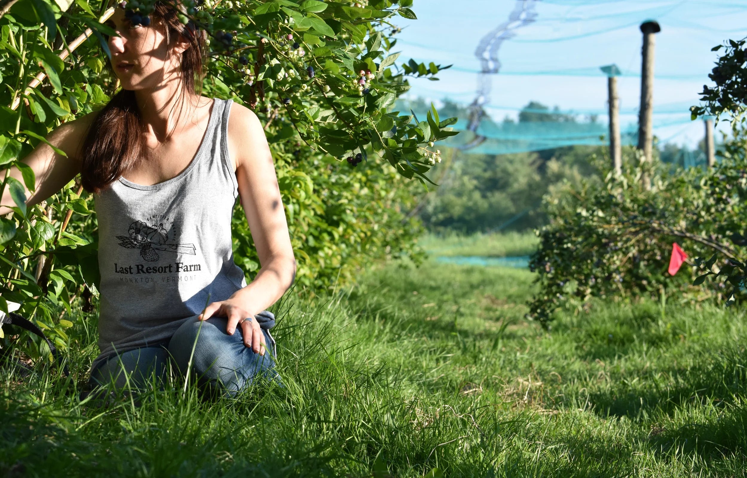Farm photography at The Last Resort Farm, Monkton, Vermont.