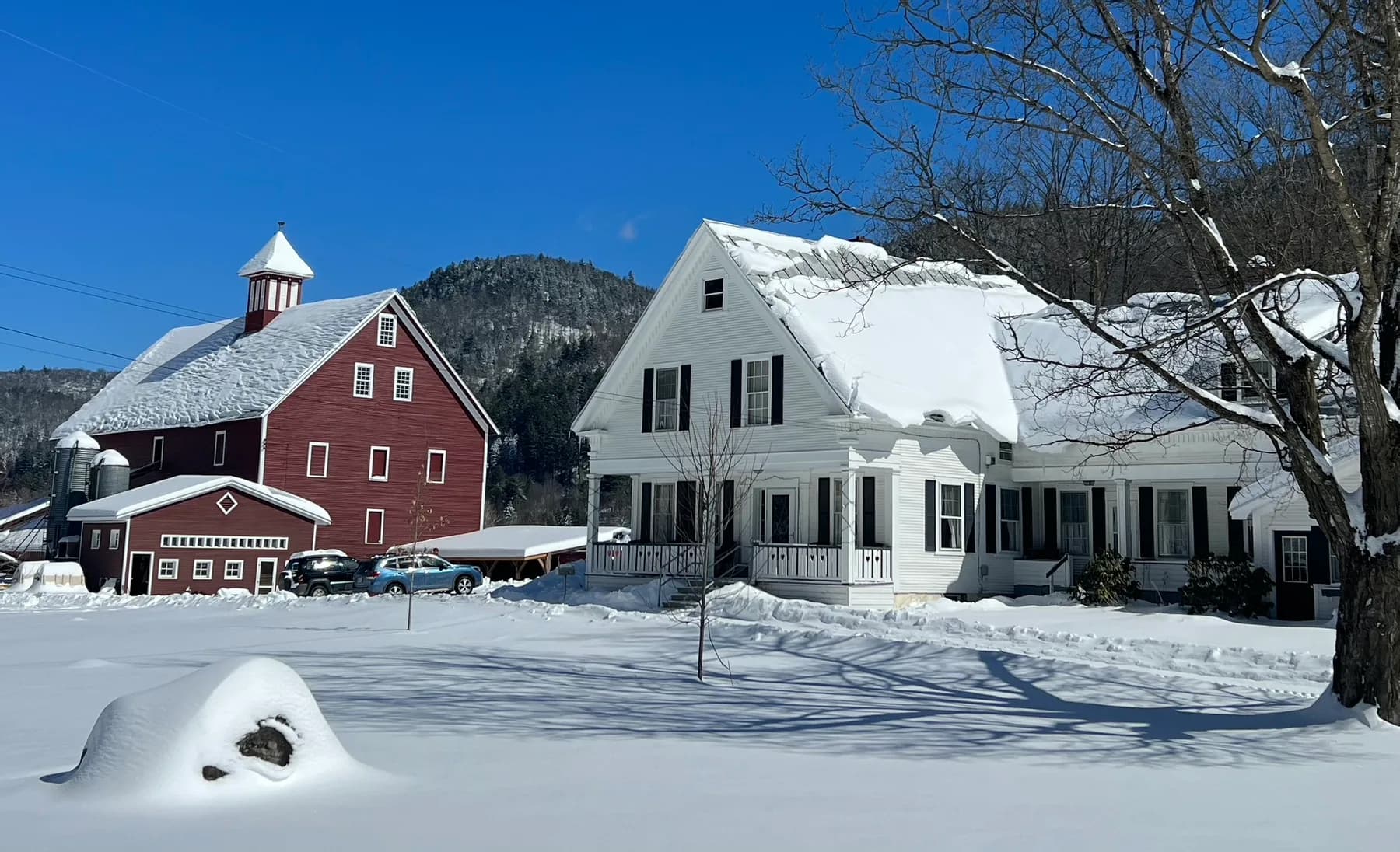 Farm photography at Liberty Hill Farm, Rochester, Vermont.