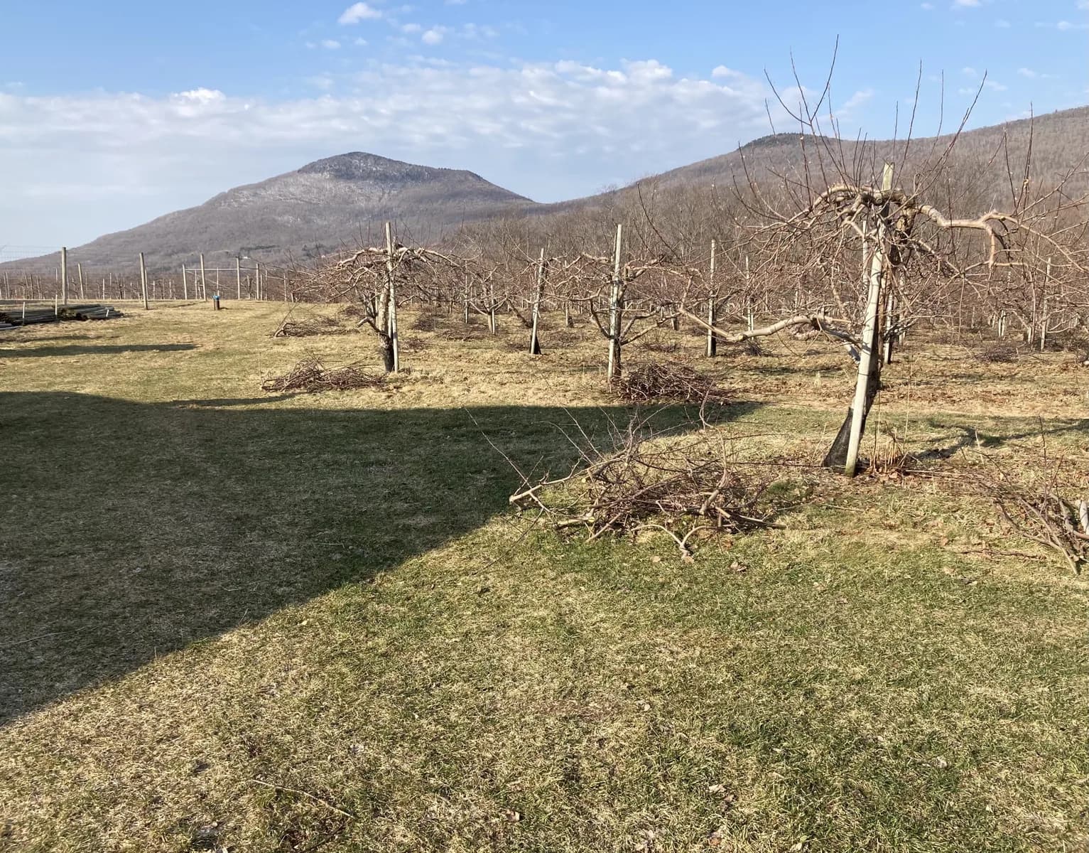 Farm photography at Mad Tom Orchard, East Dorset, Vermont.