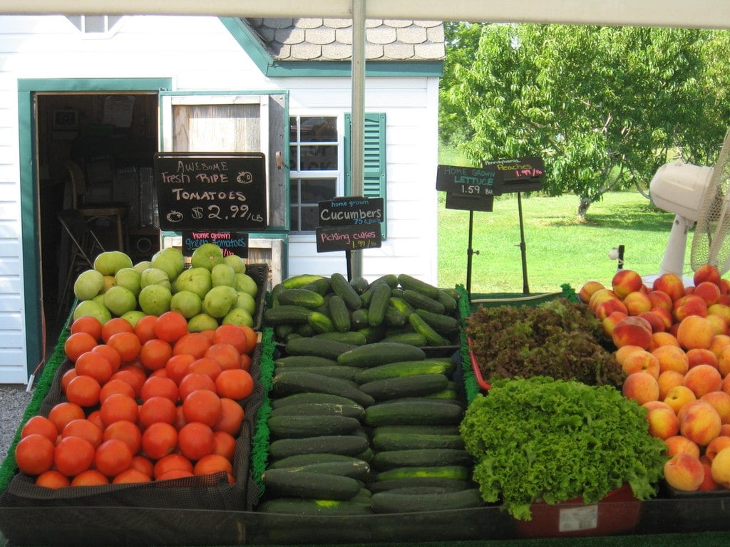 Farm photography at Paul Mazza's Fruit & Vegetable Stand, Essex Junction, Vermont.