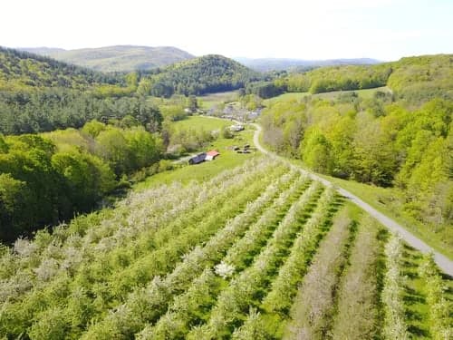 Scott Farm Orchard: dummerston vt gallery item 1 orchard